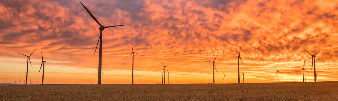 stock image of windmills at sunset