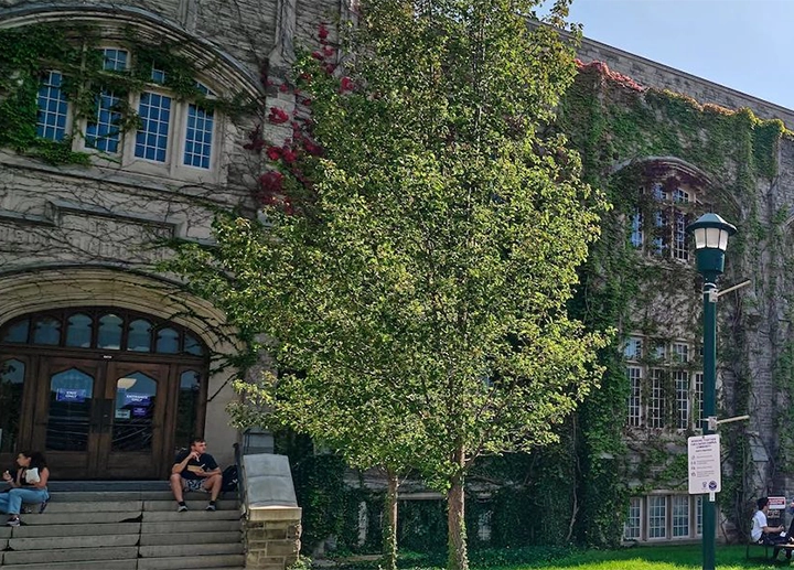 Front of the Stevenson-Lawson building in summer