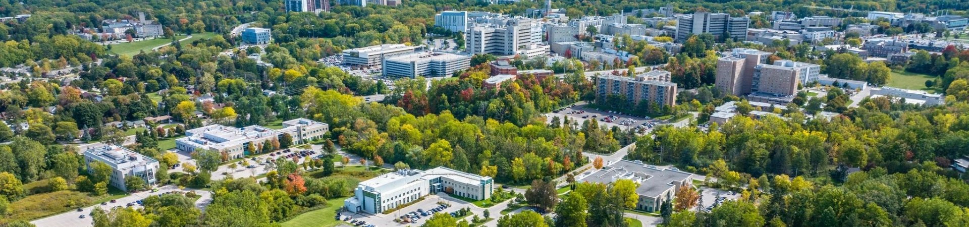 Aerial view of Western Discovery Park