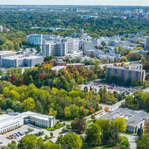 Aerial view of Western Discovery Park