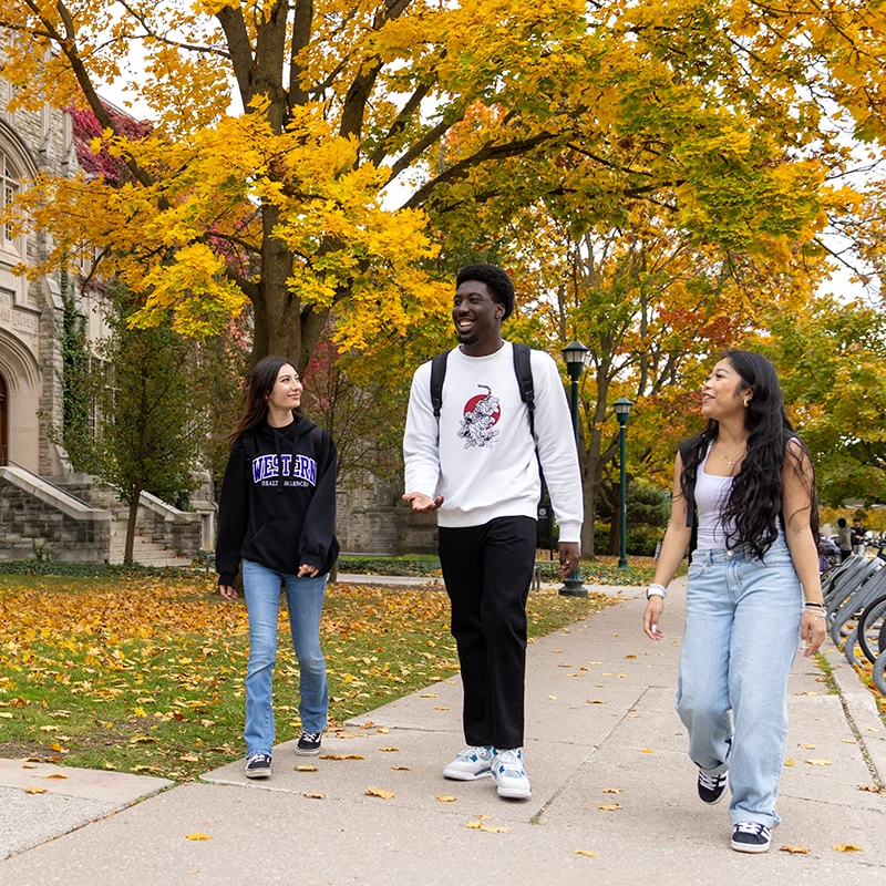 Students walking on campus in the fall