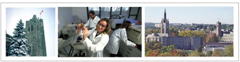 Research At Western