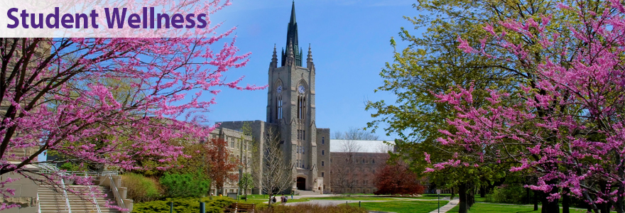 Middlesex College in spring with trees flowering