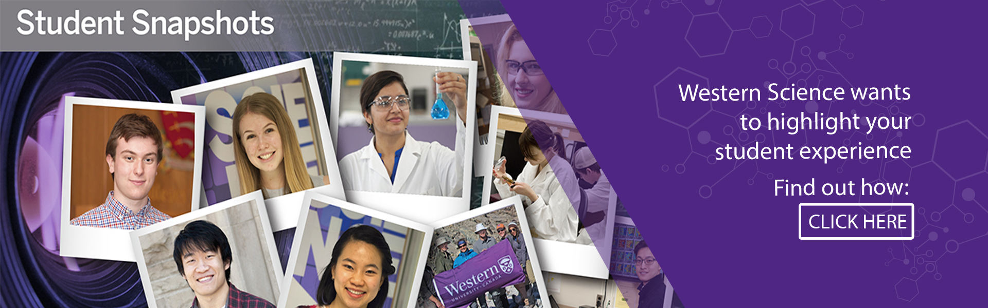 western undergraduate 2017 2018 course