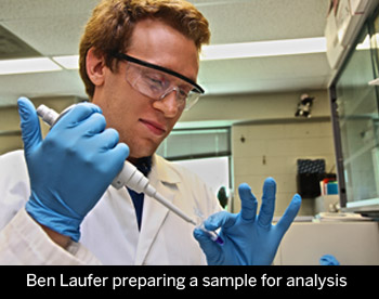 Ben Laufer preparing a sample in the lab