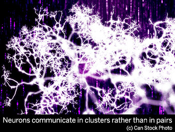 Clusters of neurons