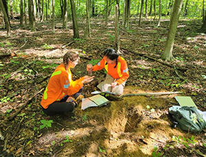 Katrina Wynne working in a forested area