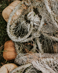 Fishing Nets