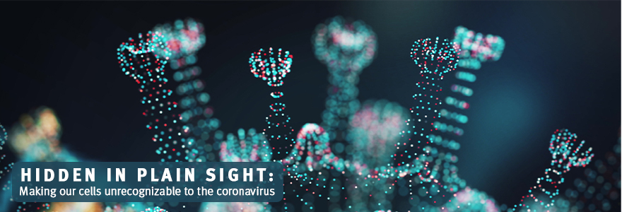 Coronavirus spikes 3D render
