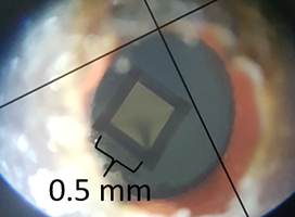 image of sample size to scale