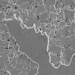 Image of a corroded surface from one of the Ni-based alloys. It shows a transition from an undamaged area which progresses into a more heavily damaged area.