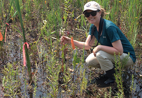 Student working in field