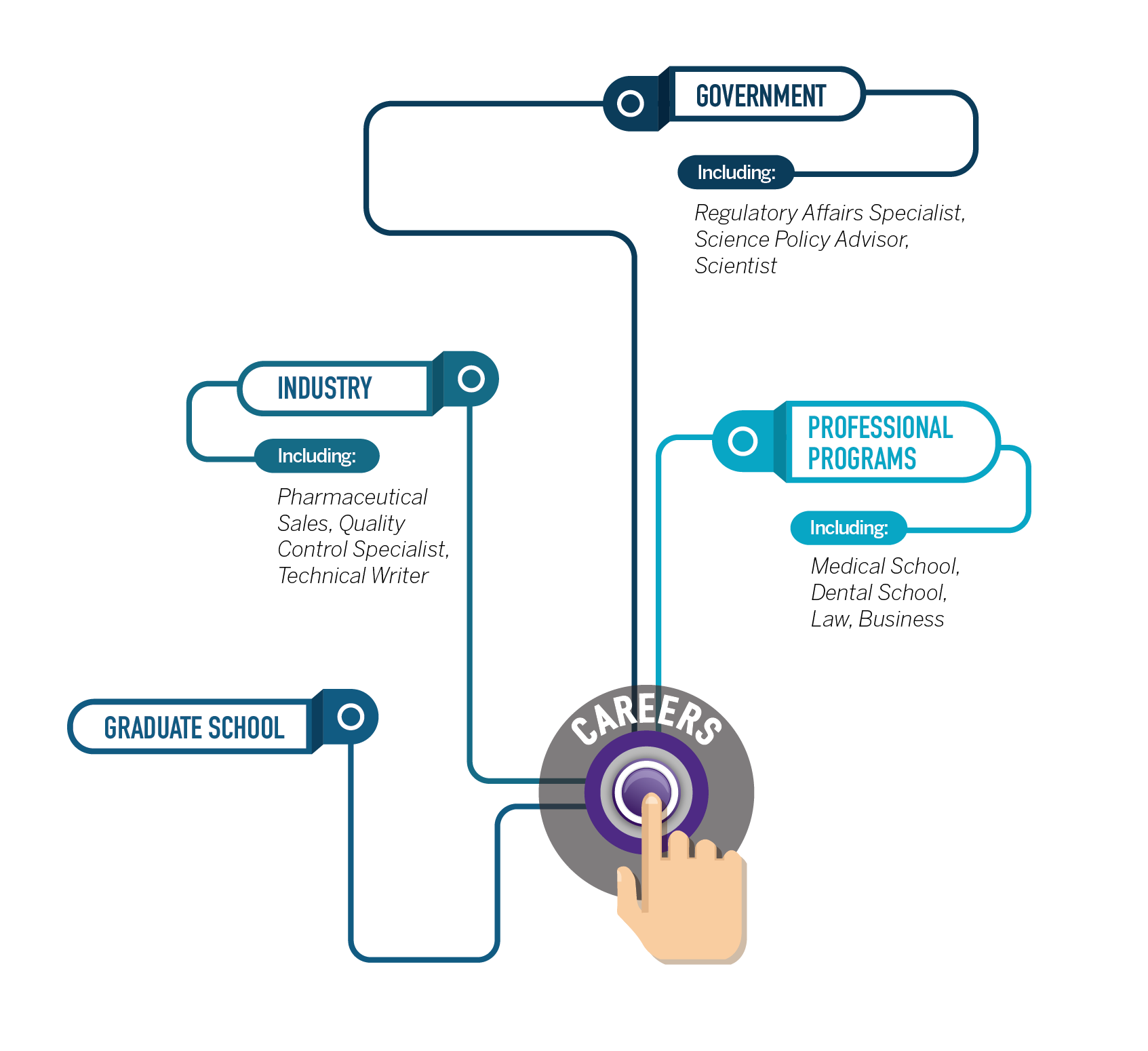 Career Path Graphic, Transcript Below