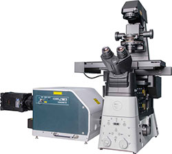 Nikon Inverted Microscope