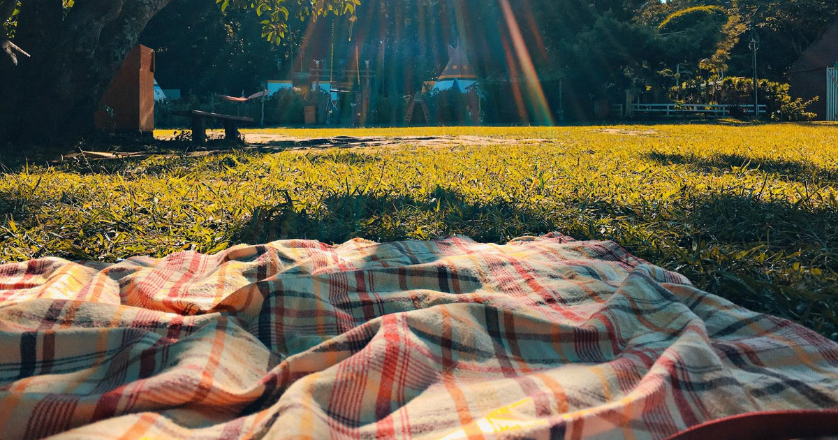 A sunny day in a park