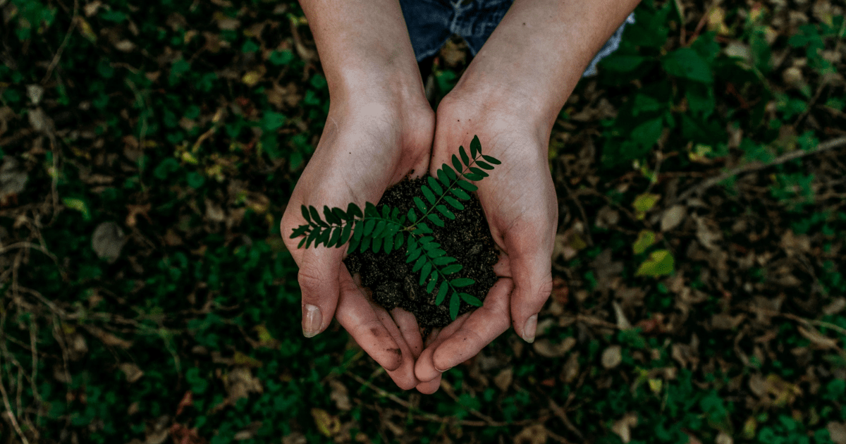 a person holding a handful of dirt