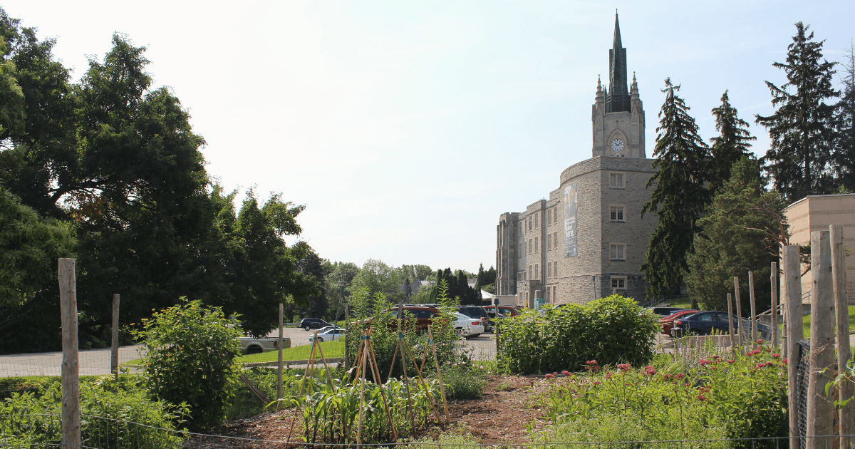 A photo of the Indigenous Food and Medicine Garden