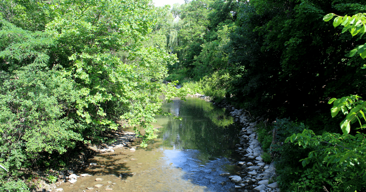 A picture of Deshkan Ziibi ("Antler River") that runs through campus.