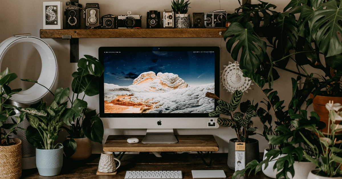 A home office desk with a computer, lots of green plants, and a shelf of nick-nacks