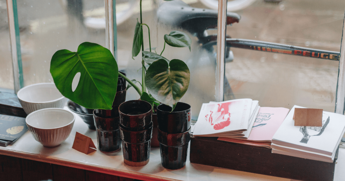 Plants and magazines sitting near a bright open window.