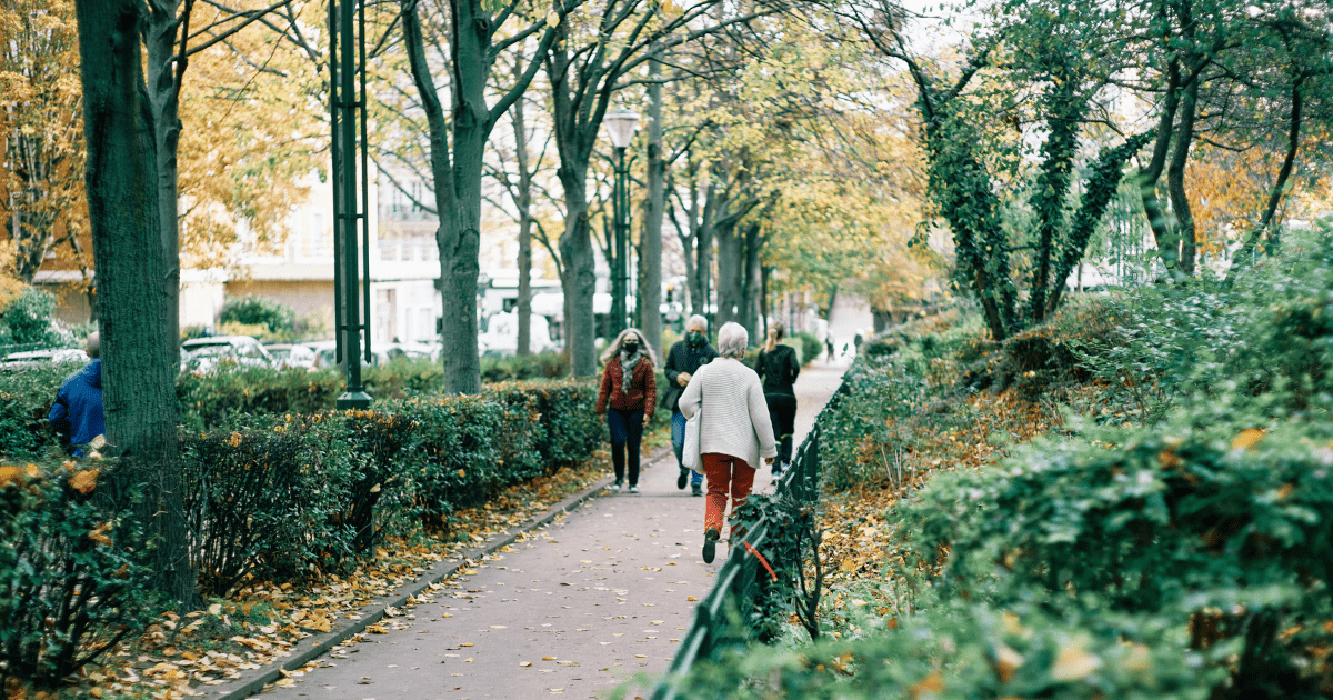 People walking down a tree lined pathway