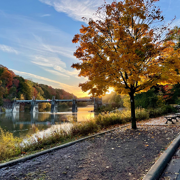 A picture of Springbank Park with fall leaves.