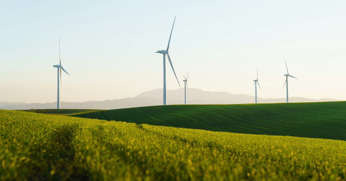 a field of green grass with wind turbines in the background