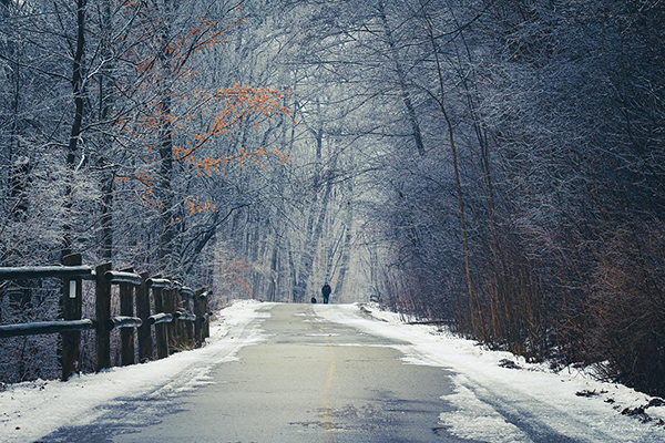 A man walking his dog through a winter trail in London.