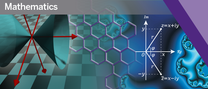 Department of Mathematics Website