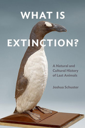 Schuster-Extinction.jpg