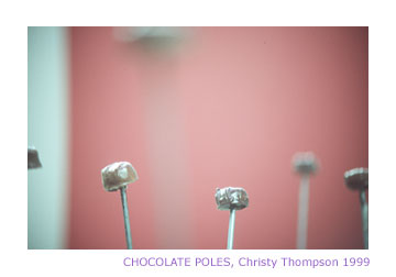 Artlab MFA Thesis Exhibition: Christy L. Thompson, Chocolate Poles (1999)