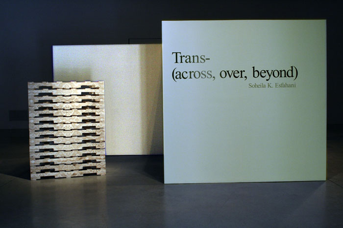 Artlab MFA Thesis Exhibition: Soheila Kolahdouz-Esfahani, trans - across, over, beyond (2010)