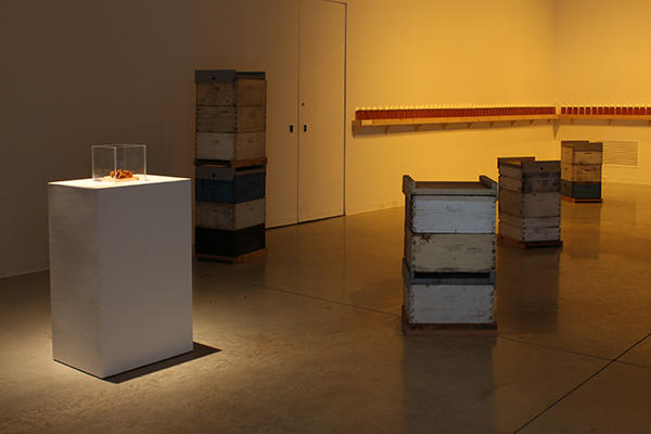 Imagine - installation of crates and honey jars