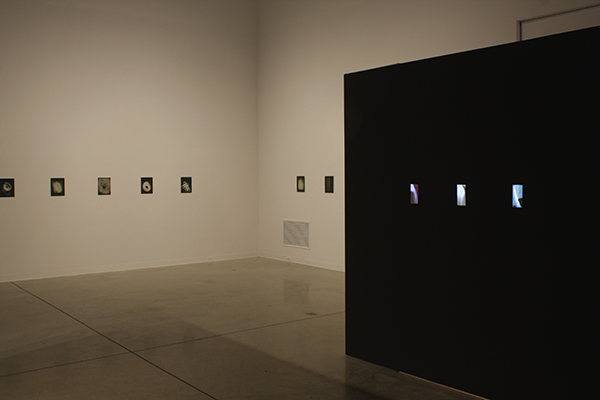 installation view, drawings and small video projections