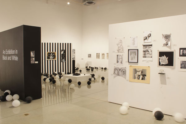 An Exhibition in Black and White, installation view