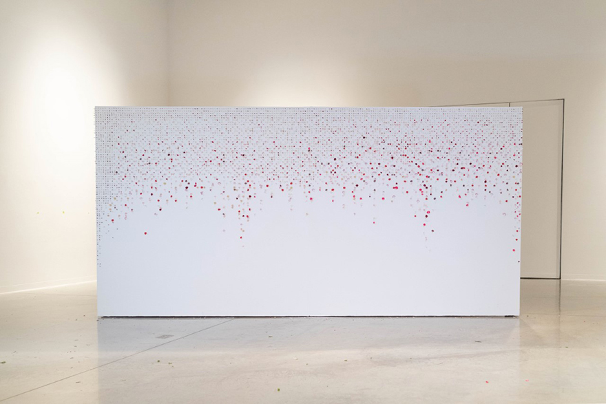 An installation image showing flower petals nailed to a large wall in a grid