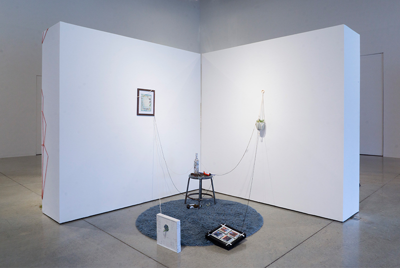 Photograph of an installation involving a stool, shag rug, framed works and hanging plants
