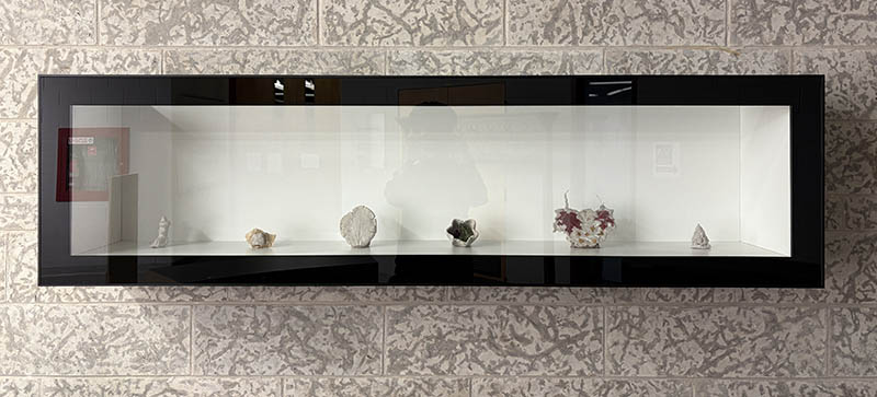 vitrine with clay objects