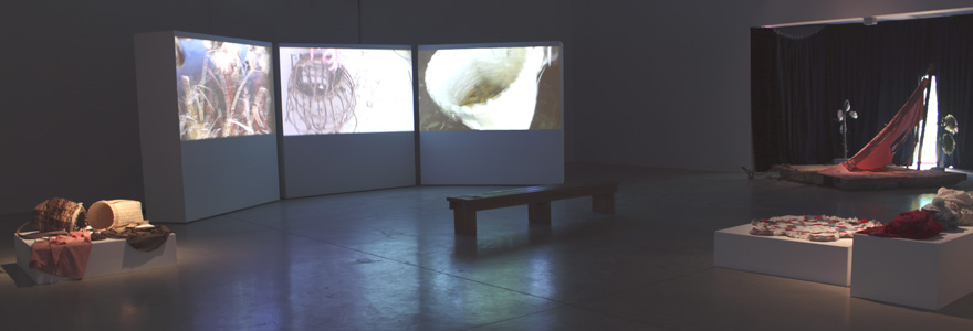 Anthea Black, MFA Thesis Exhibition, 2012