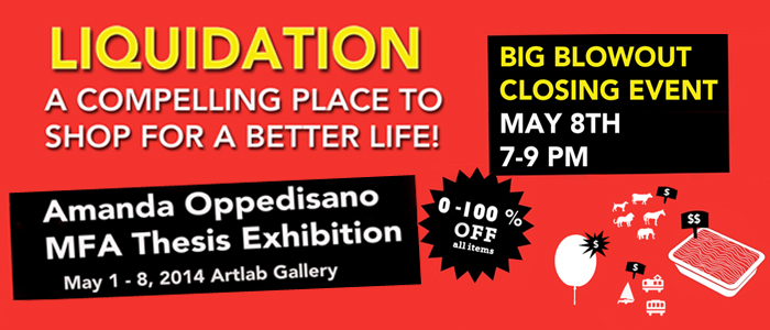 Amanda Oppedisano Artlab exhibition