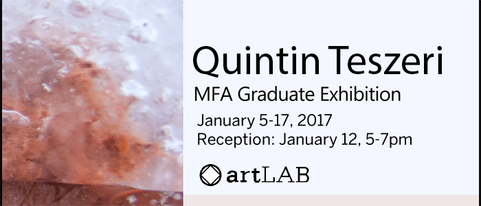 MFA Graduate Exhibition by Quintin Teszeri