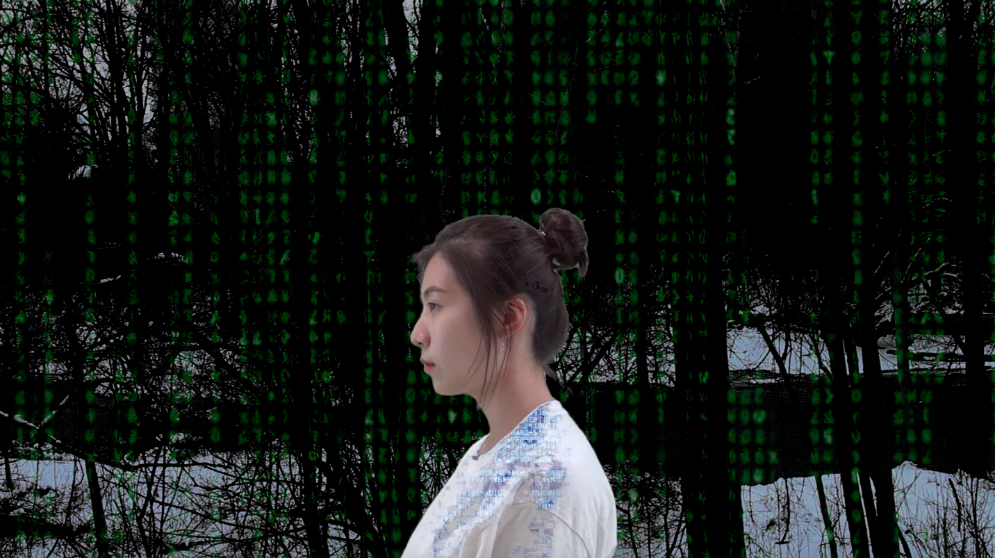 Photo of a left-facing figure standing in a snowy scene with a wall of green code acting as a barrier between them and the natural world behind them.