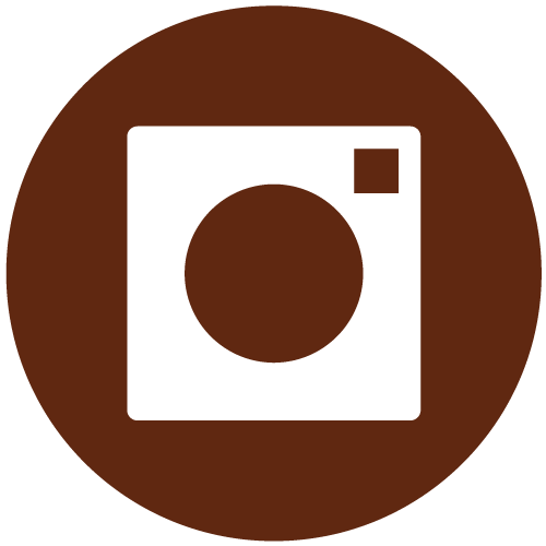 Instagram icon